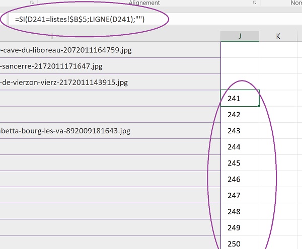 Fonction Excel Ligne dans fonction Si pour repérer numéros des enregistrements correspondants