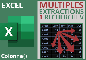 Extractions multiples sur une unique recherche avec Excel
