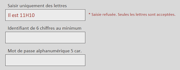 Contrôler la saisie sur un formulaire Access grâce à une fonction VBA