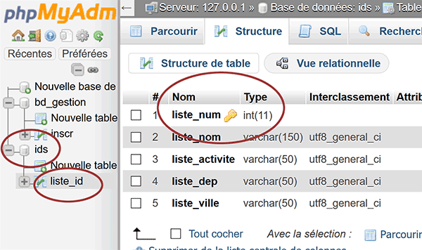 Structure et champs de la table MySql créée par importation de fichier externe