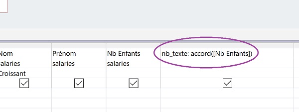 Champ calculé de requête Access appelant fonction VBA pour réaliser accord grammatical