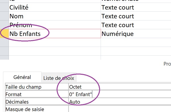 Formater champ de table Access pour accord grammatical