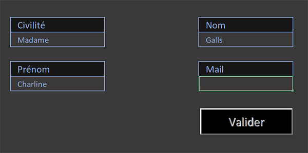 Formulaire inscription Excel avec bouton de validation désactivé