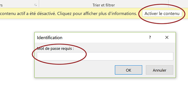 Accès base de données protégé par mot de passe de macro Autoexec Access