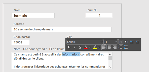 Zone de texte enrichi sur formulaire Access pour mises en forme
