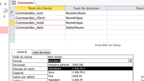 Format monétaire pour un champ de montant total