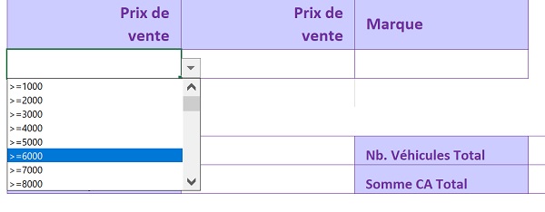 Listes déroulantes Excel pour émettre des critères à recouper pour analyser la base de données