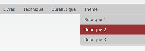 Nouveau menu avec sous menu ajouté automatiquement dans la page Html grâce aux styles Css