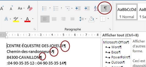 Afficher les caractères invisibles de Word pour voir les marques de paragraphes et tabulations dans la conception