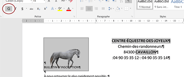 Grouper des textes séparés dans une même sélection pour optimiser les opérations de mise en forme Word