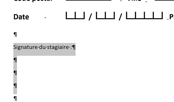 Préparation de la zone de signature pour le bulletin de participation Word