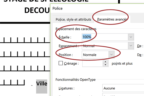 Ajuster alignement vertical du texte dans paragraphe Word