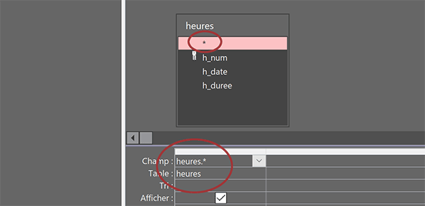 Insérer tous les champs de la table Access dans la requête avec le symbole étoile