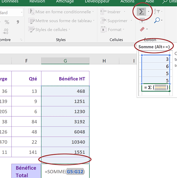 Calculer le total des bénéfices dégagés par une société dans exercice Excel