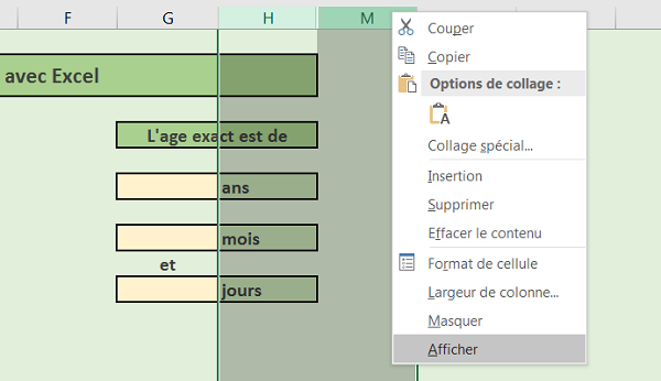 Afficher des colonnes masquées dans une feuille Excel