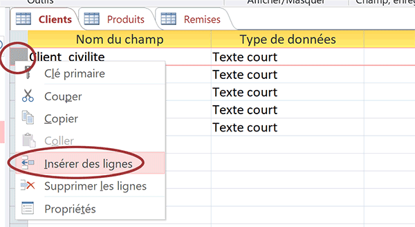 Créer nouveau champ en conception de table Access pour la clé primaire