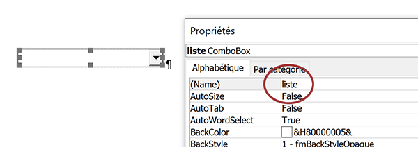 Donner un nom à la liste déroulante sur le document Word