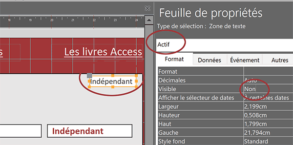 Zone de texte masquée sur formulaire Access par propriété Visible