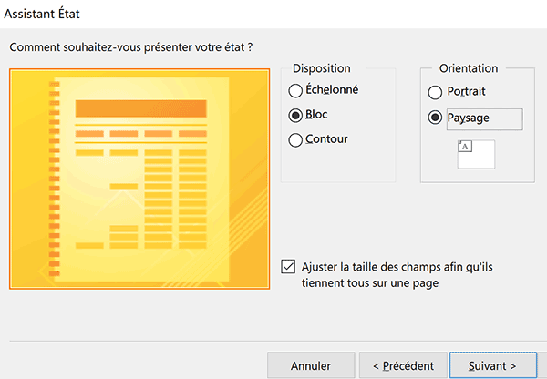 Définir la disposition des données pour la vue du rapport Access