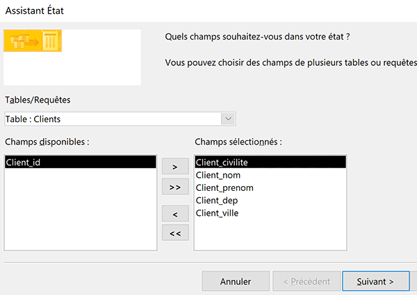 Ajouter les champs avec assistant pour construire vue souhaitée état Access