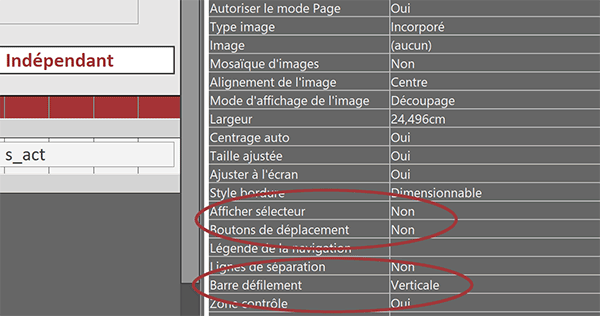 Propriétés ergonomiques du formulaire Access pour masquer la barre de navigation et le sélecteur