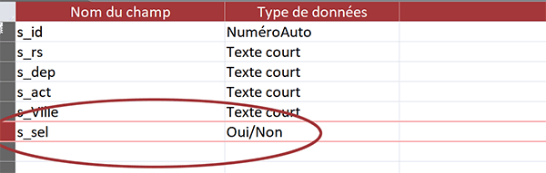 Champ de type Oui/Non pour créer des cases à cocher sur le formulaire Access