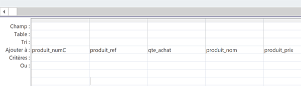 Désigner les champs pour recevoir les données dynamiques de la requête Ajout Access
