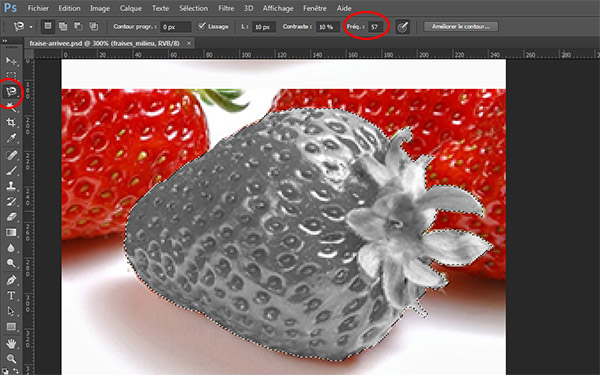 Sélection fraise au lasso magnétique Photoshop