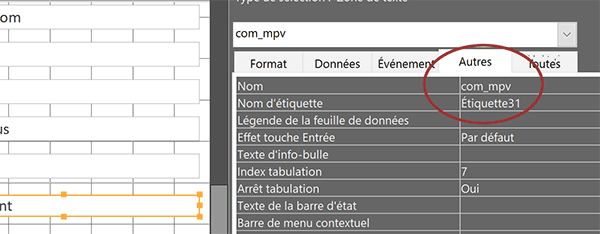 Donner un nom à une zone de texte sur un formulaire Access