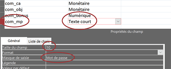 Créer un champ Access de type Mot de passe avec caractères cryptés et masqués