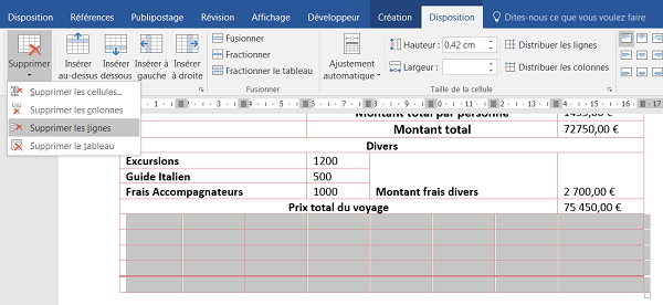 Suppression lignes dans un tableau Word