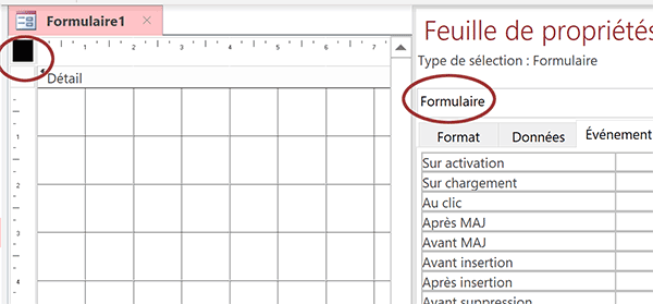 Attributs et propriétés à régler pour le formulaire Access