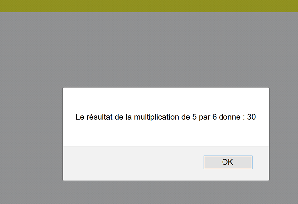 Boîte de dialogue Javascript déclenchée par le code pour message internaute