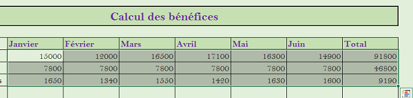 Calcul de toutes les sommes du tableau Excel en une fois