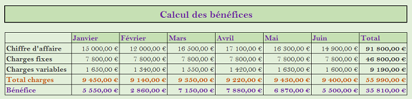 Calculs des bénéfices pour une société dans tableau Excel