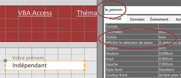 Masquer un contrôle sur un formulaire Access