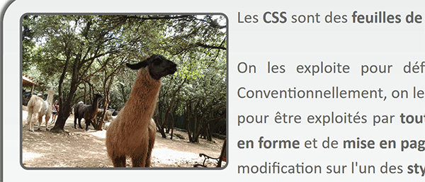 Image Html avec une bordure arrondie par les styles Css