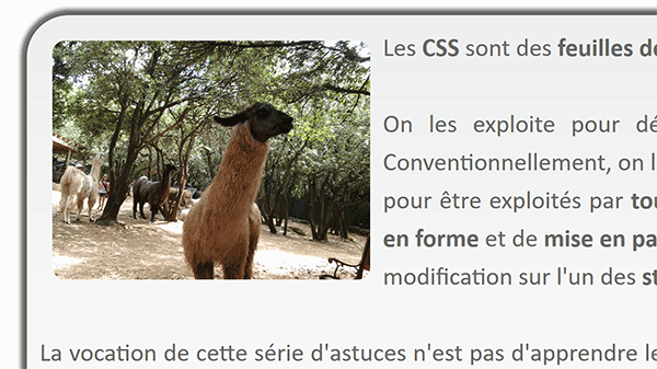 Image Html aux bords arrondis avec les styles Css