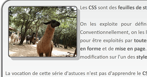 Image Html aux bordures arrondies et ombre portée au survol de la souris par les styles Css