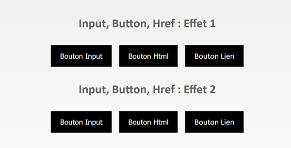 Dimensions des boutons Html et alignements des textes avec les styles Css