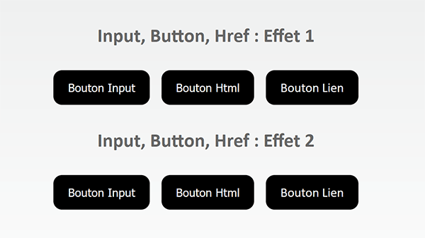 Effets arrondis sur les boutons Html avec les styles Css