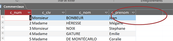 Impossible de créer un nouveau champ depuis table Access en mode feuille de données