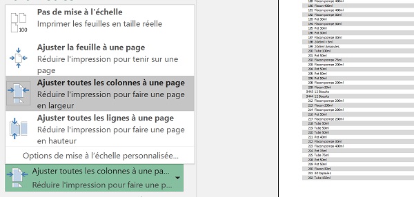 Réduire échelle du tableau Excel pour le faire tenir en largeur et hauteur dans page impression