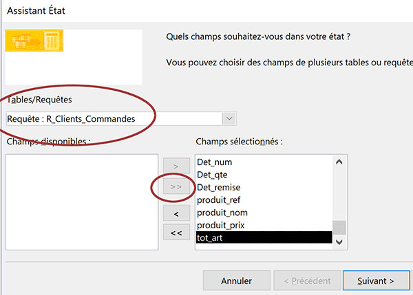 Ajouter tous les champs de la requête multitable pour construire un état Access