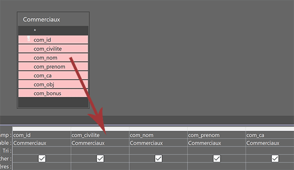 Ajouter tous les champs de la table Access sur la grille de requête