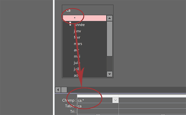 Symbole étoile de requête Access pour représenter tous les champs de la table