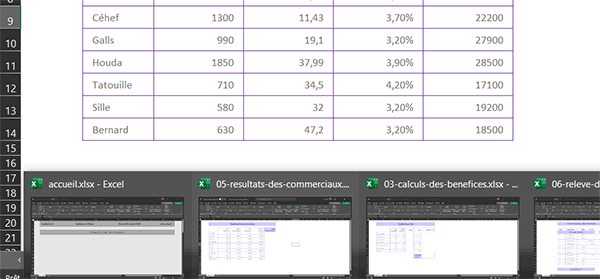 Miniatures de tous les classeurs ouverts dans Excel