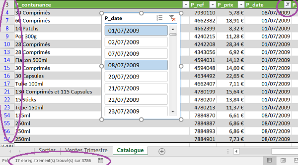 Filtrer et regrouper base de données Excel avec segments de champs