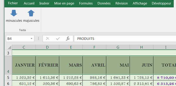 Transformer cellules en majuscules avec bouton macro vba Excel