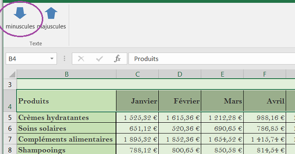 Convertir en minuscules sauf premières lettres en majuscules avec VBA Excel